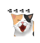 Hey~Go to clear the cat litter.（個別スタンプ：32）
