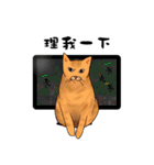Hey~Go to clear the cat litter.（個別スタンプ：37）