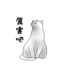 Hey~Go to clear the cat litter.（個別スタンプ：40）