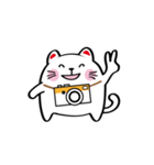 Lucky Momo The Camera Cat（個別スタンプ：1）