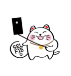 Lucky Momo The Camera Cat（個別スタンプ：3）