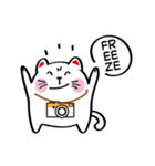 Lucky Momo The Camera Cat（個別スタンプ：4）
