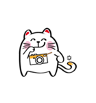 Lucky Momo The Camera Cat（個別スタンプ：13）