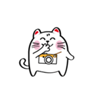 Lucky Momo The Camera Cat（個別スタンプ：16）