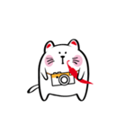 Lucky Momo The Camera Cat（個別スタンプ：20）