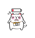 Lucky Momo The Camera Cat（個別スタンプ：21）