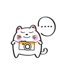 Lucky Momo The Camera Cat（個別スタンプ：22）