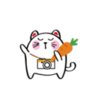 Lucky Momo The Camera Cat（個別スタンプ：24）