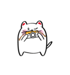 Lucky Momo The Camera Cat（個別スタンプ：26）