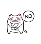 Lucky Momo The Camera Cat（個別スタンプ：29）
