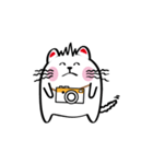 Lucky Momo The Camera Cat（個別スタンプ：30）