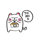 Lucky Momo The Camera Cat（個別スタンプ：33）