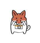 Lucky Momo The Camera Cat（個別スタンプ：39）