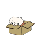 口下手猫さん（個別スタンプ：40）