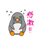 ほめちぎりぺんぎんさん。（個別スタンプ：13）
