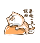 Small bad cat 2（個別スタンプ：18）