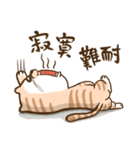 Small bad cat 2（個別スタンプ：27）