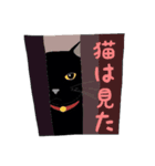 黒猫の大ちゃん第2弾（個別スタンプ：1）
