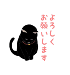 黒猫の大ちゃん第2弾（個別スタンプ：8）