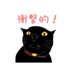 黒猫の大ちゃん第2弾（個別スタンプ：12）