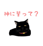 黒猫の大ちゃん第2弾（個別スタンプ：14）