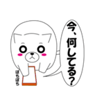 もちにゃん ver.1（個別スタンプ：20）