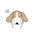 PeeKlaw Beagle（個別スタンプ：14）