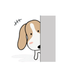 PeeKlaw Beagle（個別スタンプ：24）