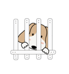 PeeKlaw Beagle（個別スタンプ：30）