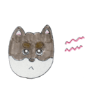 黒柴くま（個別スタンプ：10）