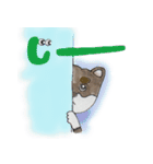 黒柴くま（個別スタンプ：13）