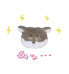 黒柴くま（個別スタンプ：31）