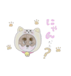 黒柴くま（個別スタンプ：36）