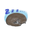 黒柴くま（個別スタンプ：37）