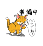 子猫の一日（個別スタンプ：12）