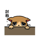 Happy story（個別スタンプ：19）
