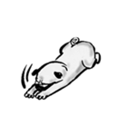 Grumpy Pug（個別スタンプ：11）