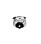 Grumpy Pug（個別スタンプ：37）