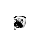 Grumpy Pug（個別スタンプ：39）