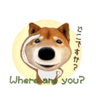 柴犬の「芝けん太」2（個別スタンプ：2）