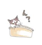 中分け猫もよう（個別スタンプ：21）