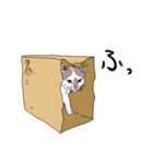 中分け猫もよう（個別スタンプ：27）