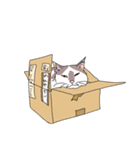 中分け猫もよう（個別スタンプ：36）