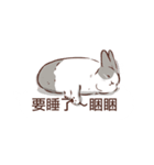 Adorable bunny's 2（個別スタンプ：30）