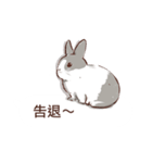 Adorable bunny's 2（個別スタンプ：40）