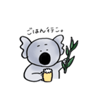 まゆげコアラスタンプ（個別スタンプ：9）