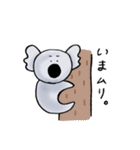 まゆげコアラスタンプ（個別スタンプ：18）