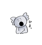 まゆげコアラスタンプ（個別スタンプ：24）