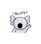 まゆげコアラスタンプ（個別スタンプ：25）