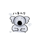 まゆげコアラスタンプ（個別スタンプ：28）
